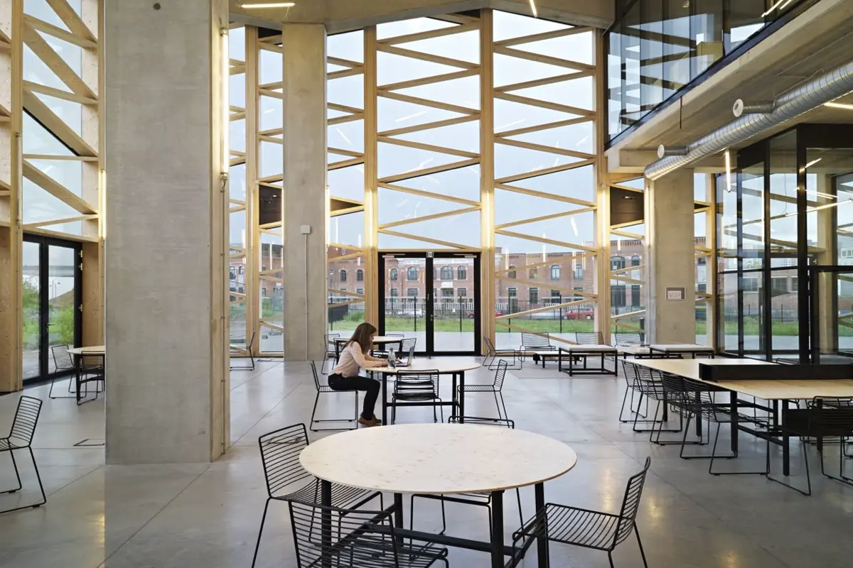 Greenbizz Brussels Background